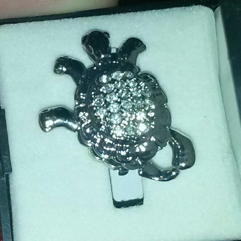 Turtle Broach